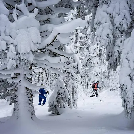 Feriehus Amelie, Sauna, Au Coeur Des Vosges *