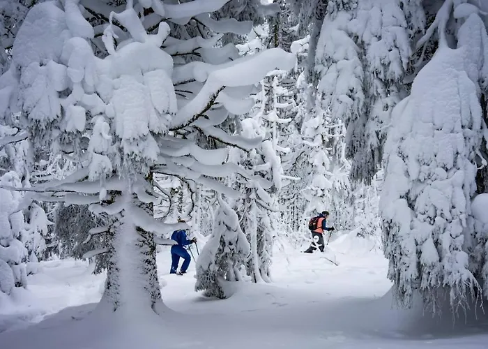 度假居 Amelie, Sauna, Au Coeur Des Vosges *