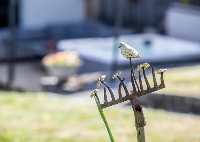 Amelie, Sauna, Au Coeur Des Vosges
