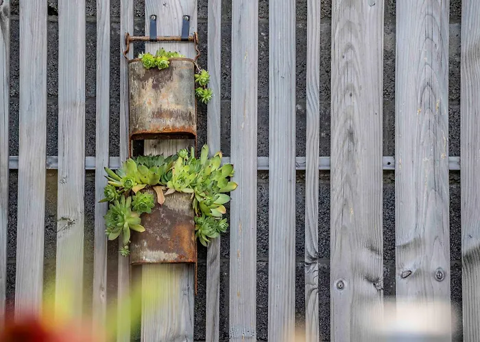 度假居 Amelie, Sauna, Au Coeur Des Vosges *